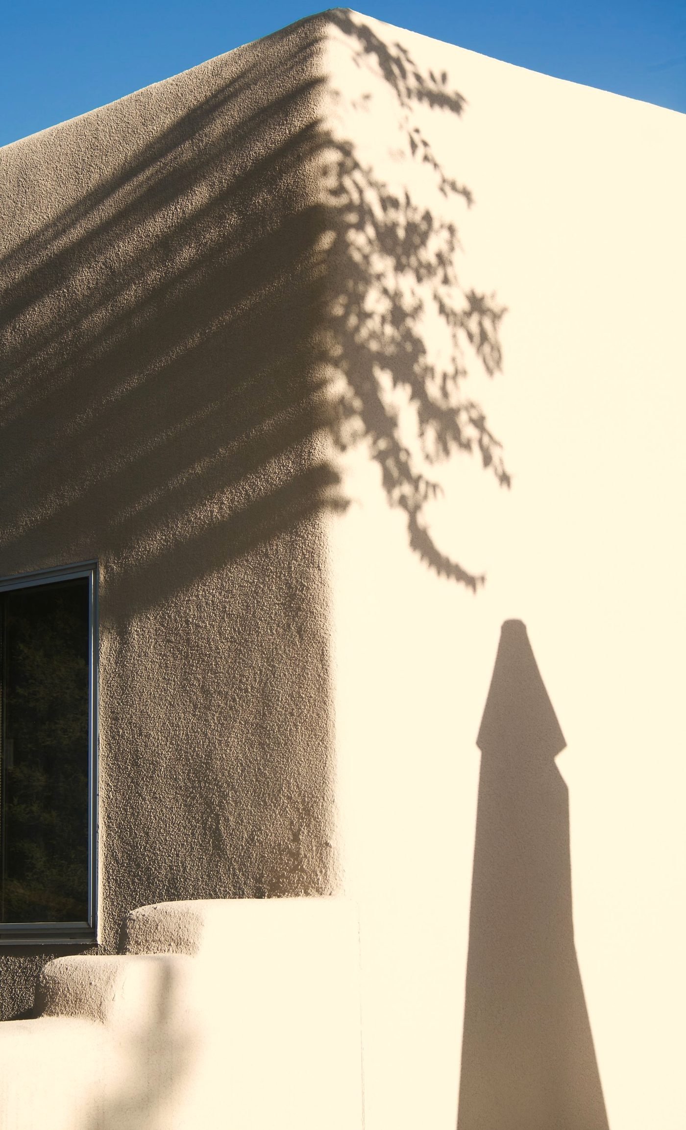 Tree shadow across a bone-colored stucco wall under a blue sky